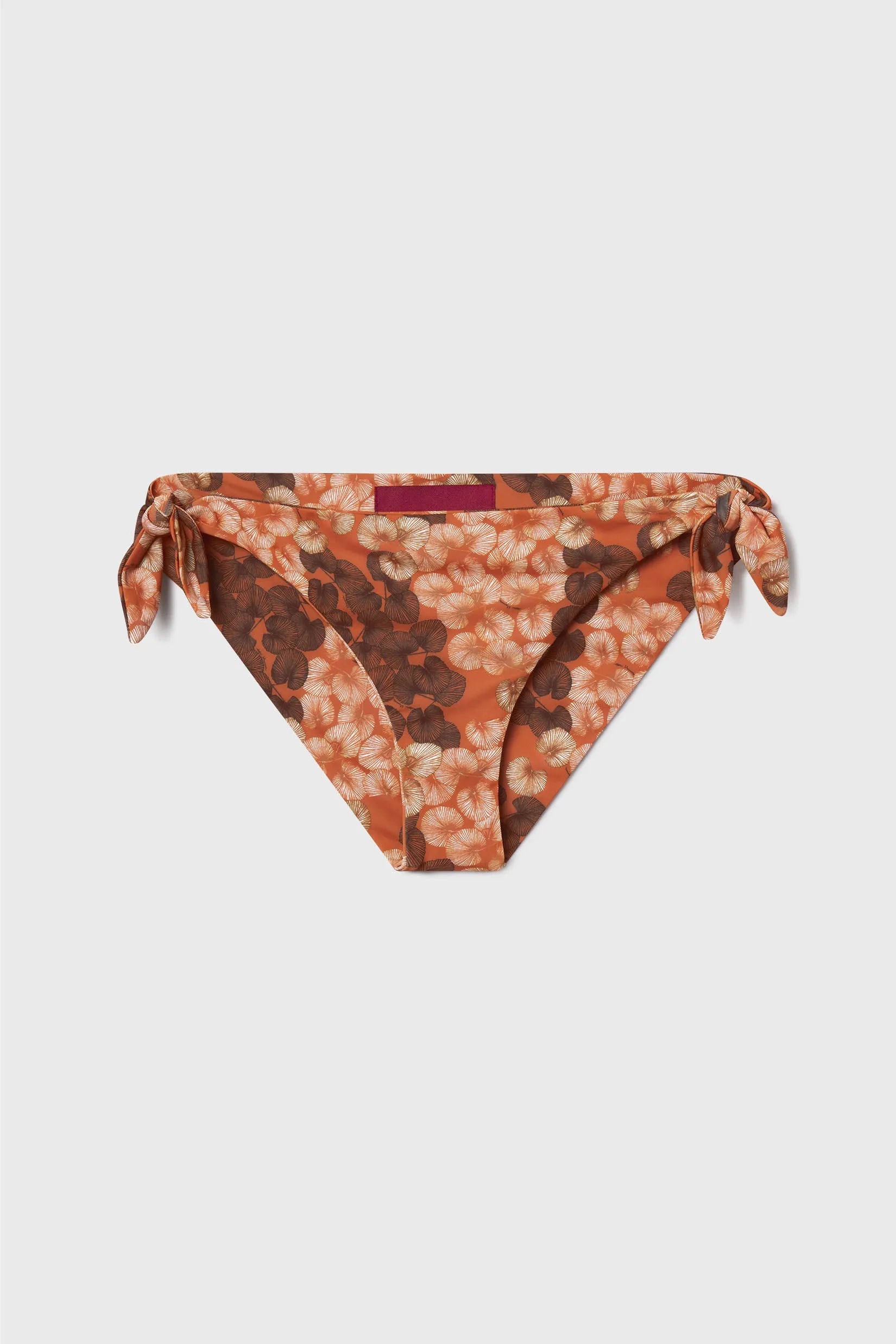 Terry Bottom - Chalked Palm - Heidi Merrick