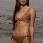 Terry Bottom - Sand Shark - Heidi Merrick