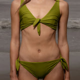 Terry Top - Frog - Heidi Merrick