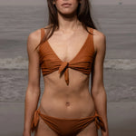 Terry Bottom - Tiger Shark - Heidi Merrick