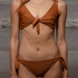 Terry Bottom - Tiger Shark - Heidi Merrick