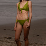 Terry Bottom - Frog - Heidi Merrick