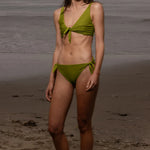 Terry Bottom - Frog - Heidi Merrick