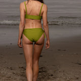 Terry Bottom - Frog - Heidi Merrick