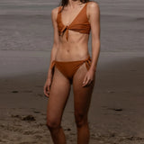 Terry Bottom - Tiger Shark - Heidi Merrick