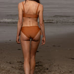 Terry Bottom - Tiger Shark - Heidi Merrick