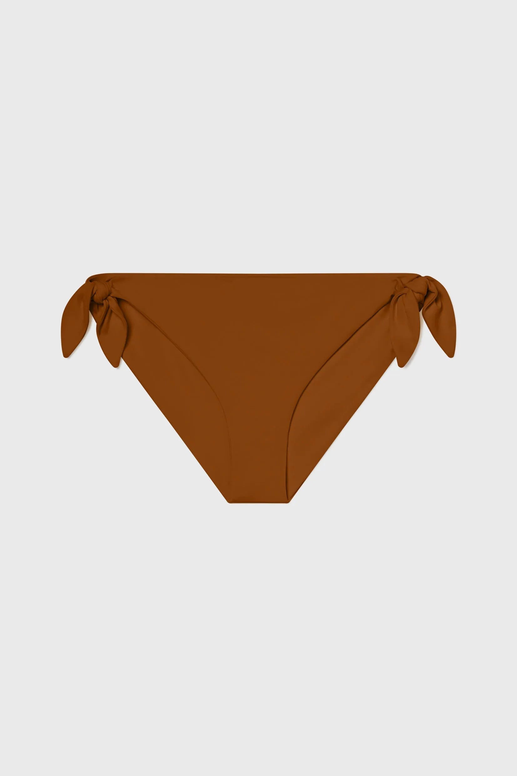 Terry Bottom - Tiger Shark - Heidi Merrick