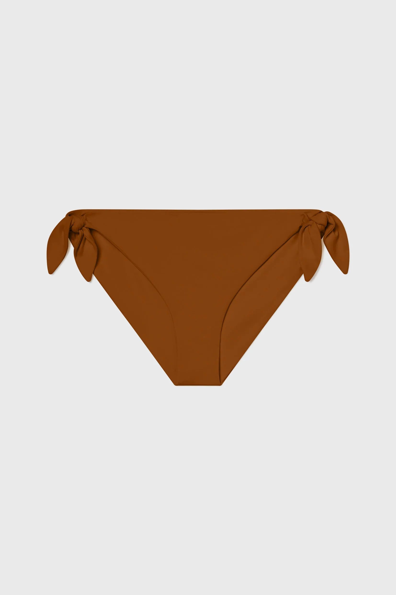 Terry Bottom - Tiger Shark - Heidi Merrick