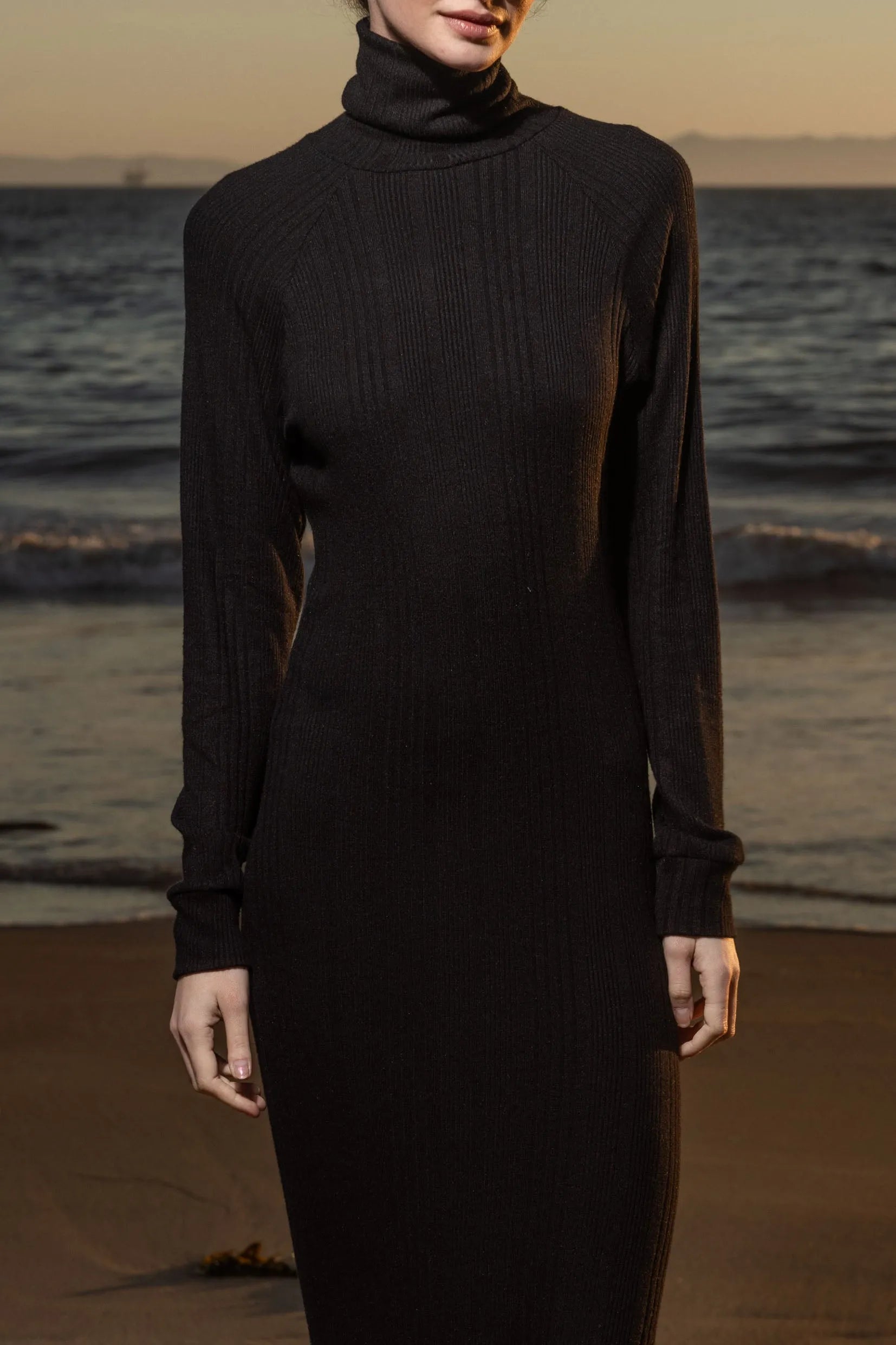 Dolce Dress - Noir - Heidi Merrick