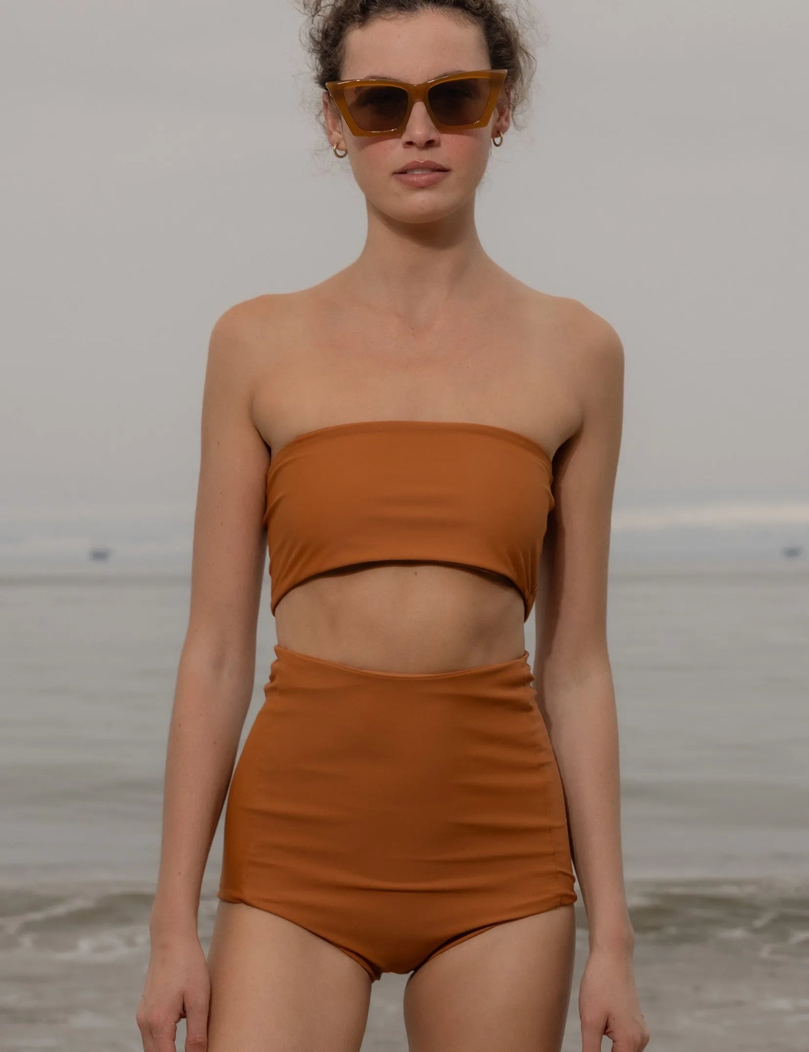 Vicent Top - Tiger Shark - Heidi Merrick