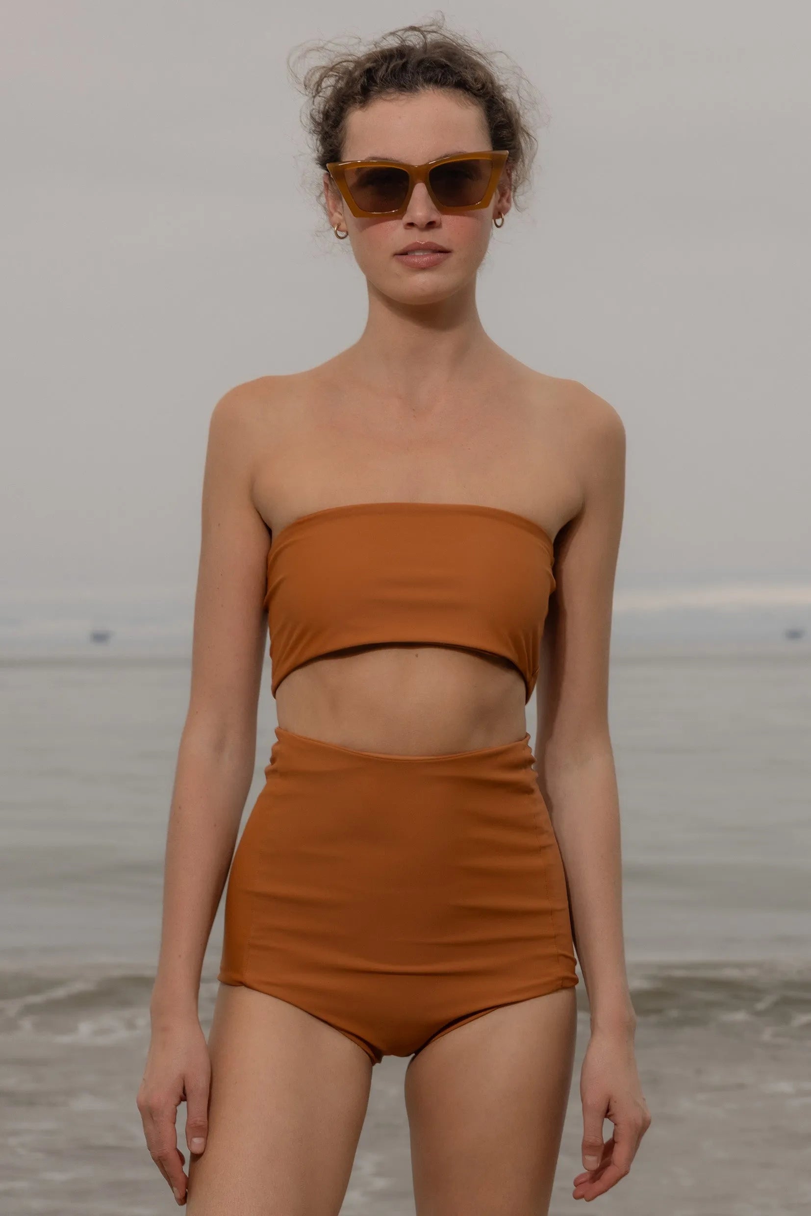 Vicent Top - Tiger Shark - Heidi Merrick