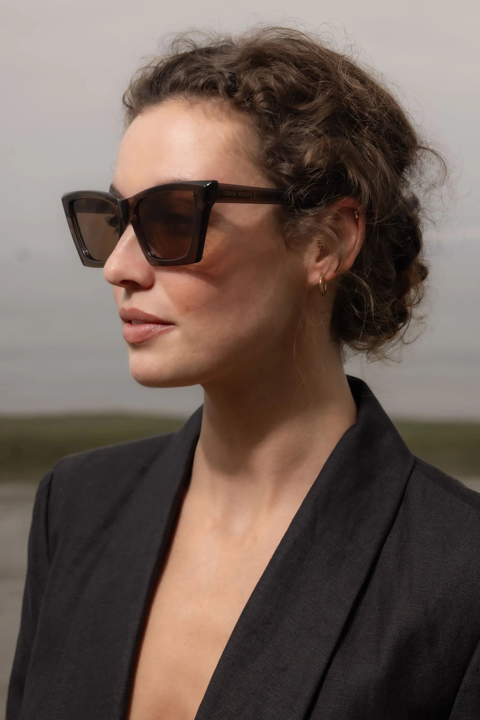 Summerland Frame - Roan - Heidi Merrick