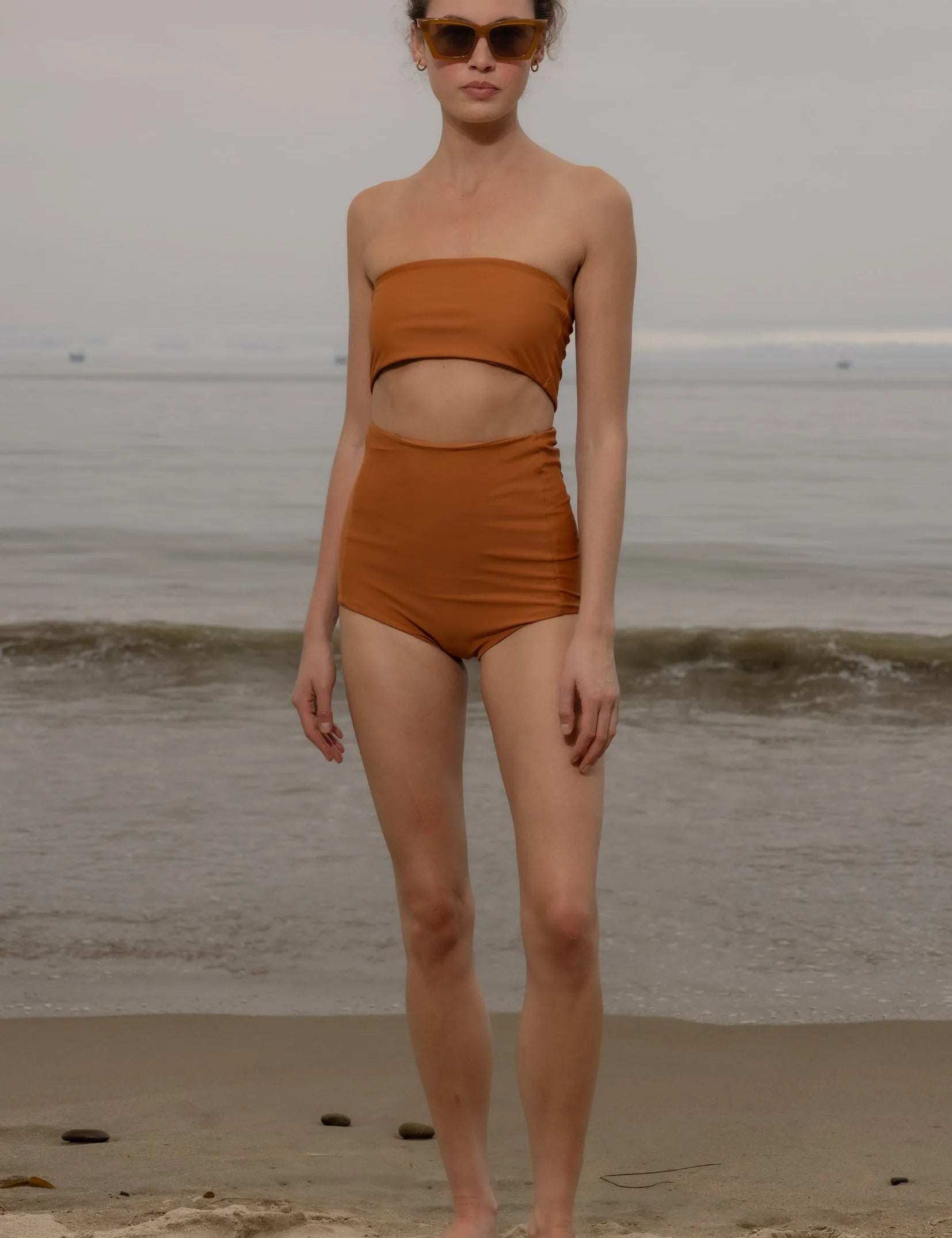 Vicent Top - Tiger Shark - Heidi Merrick