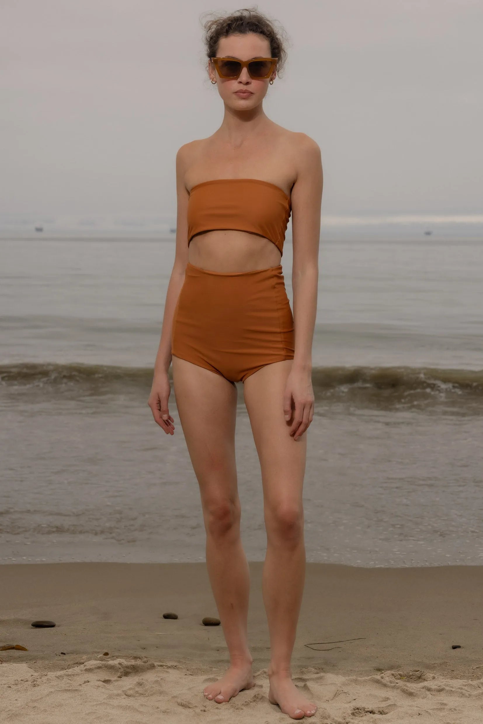 Vicent Top - Tiger Shark - Heidi Merrick