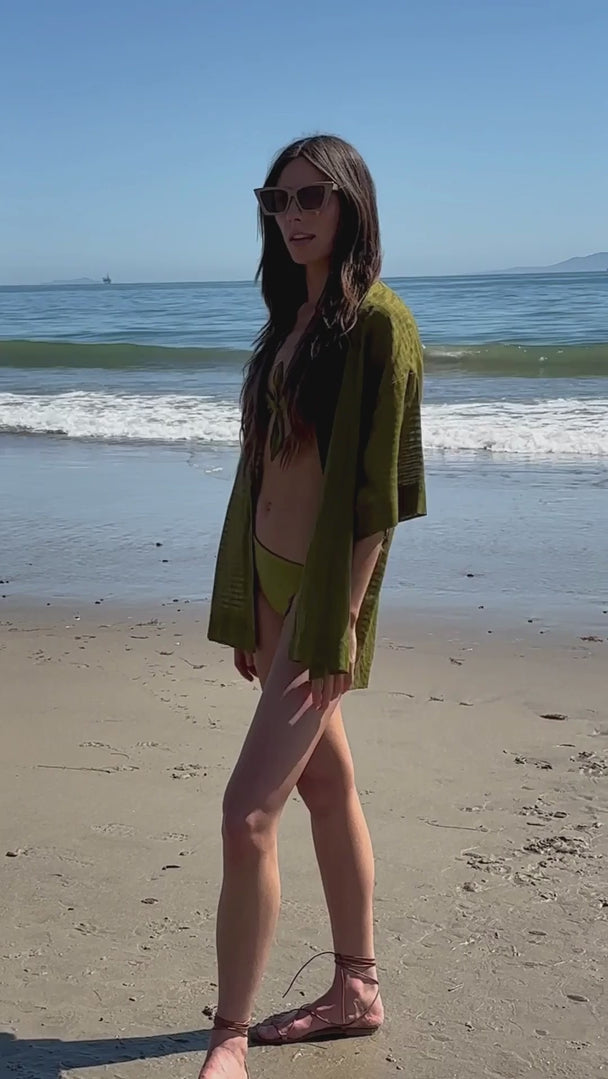 Aloha Shirt - Frog - video - Heidi Merrick