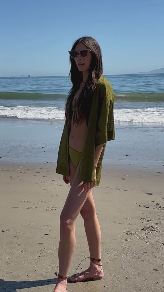 Aloha Shirt - Frog - video - Heidi Merrick